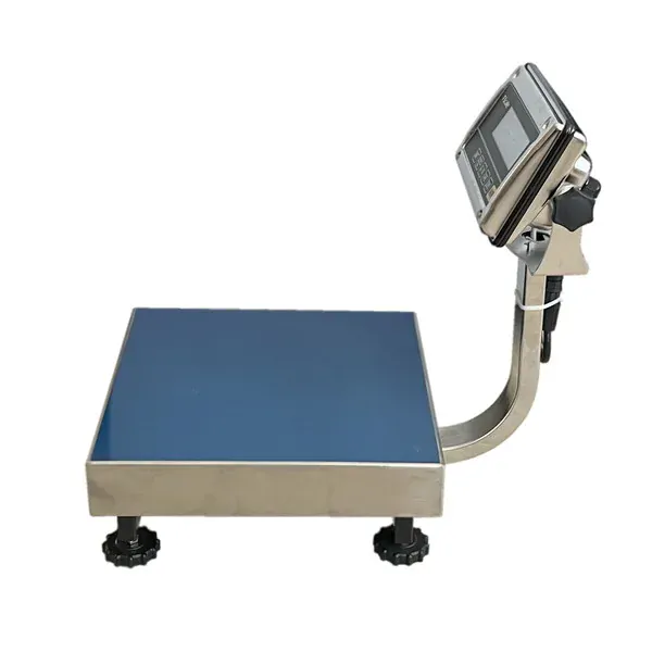 LESAK 1T3030NNRWS/DR, 15;30kg/5;10g, 300x300mm, nerez (Můstková nerezová voděodolná váha s dvojím rozsahem a nerezovým vážním indikátorem RWS)